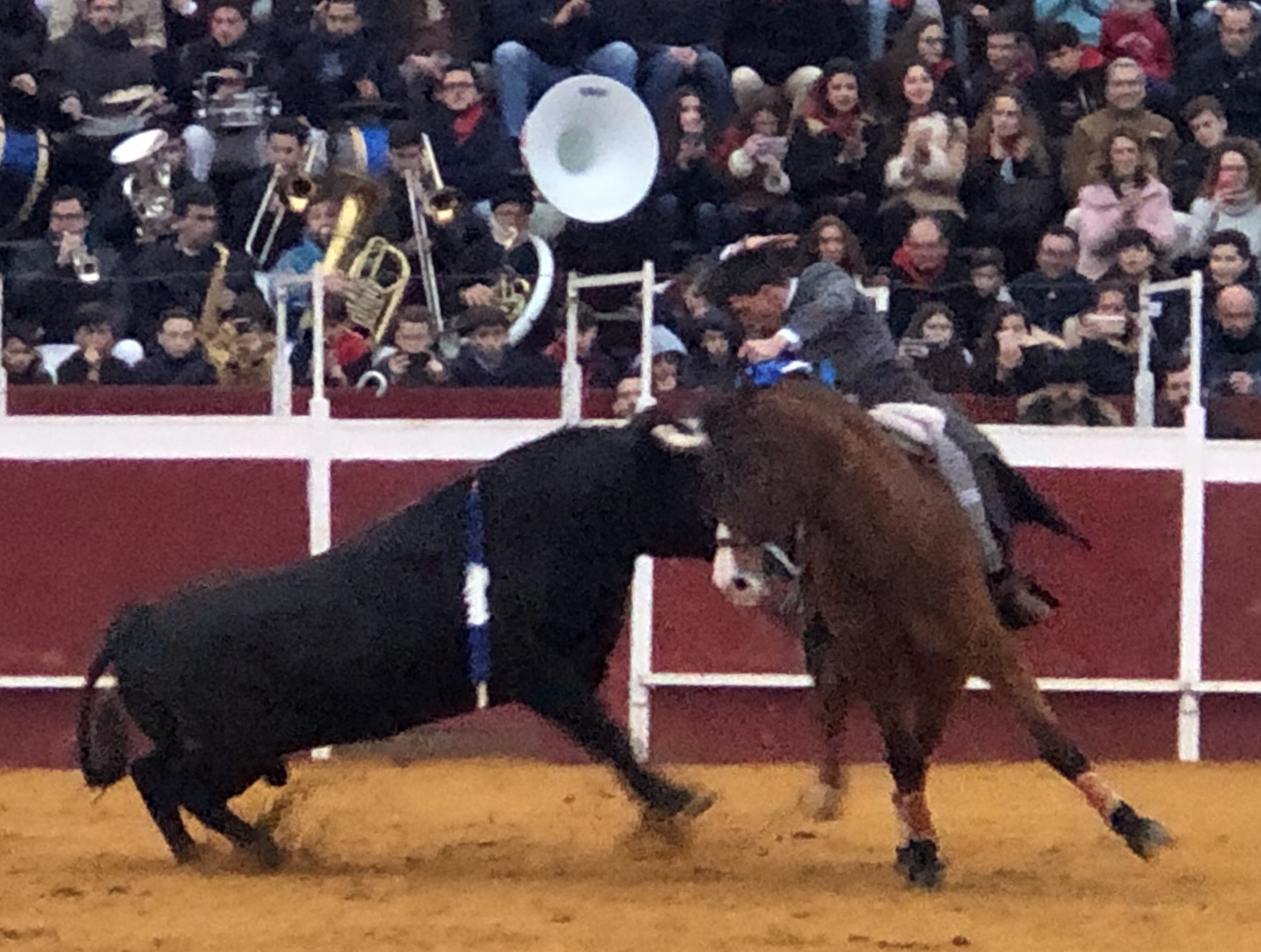 Puebla del Río (Sevilla) - Novillada sin picadores - Fiestas a San Sebastián 2019