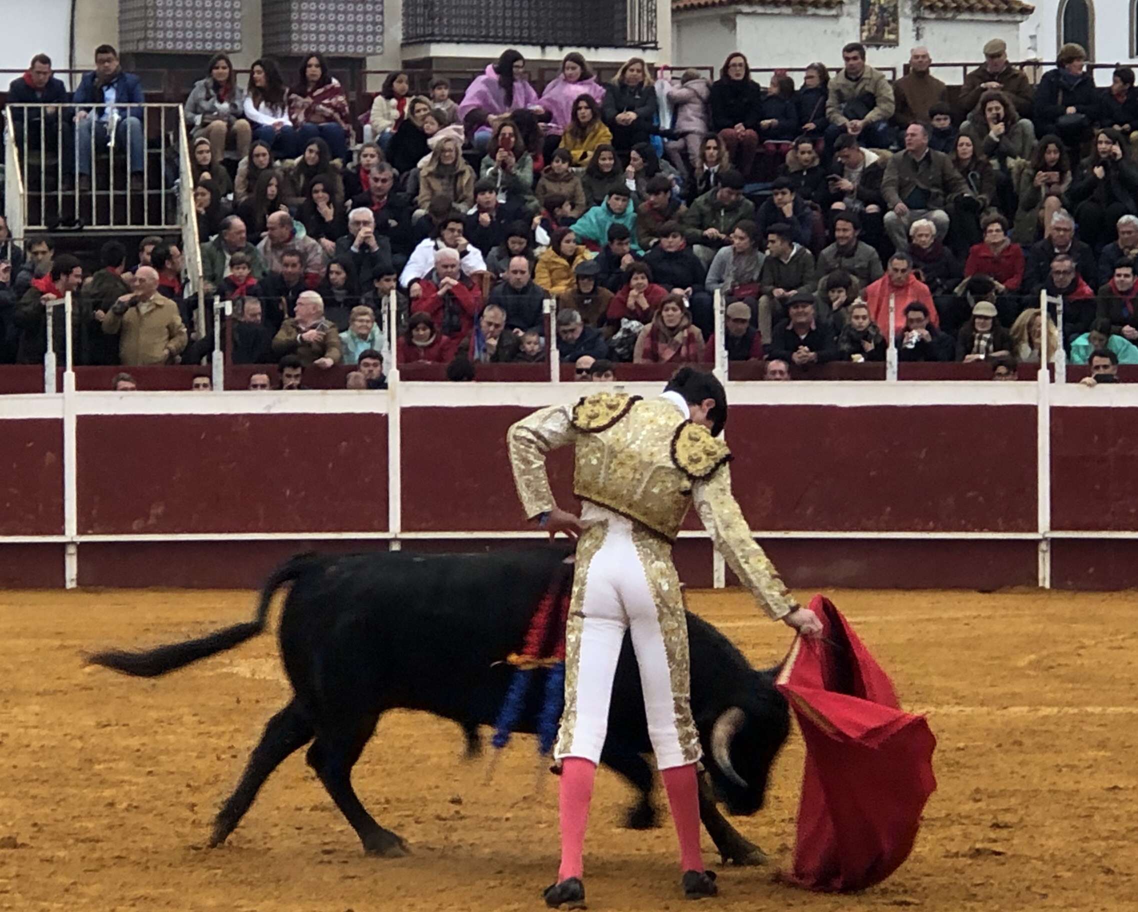 Puebla del Río (Sevilla) - Novillada sin picadores - Fiestas a San Sebastián 2019