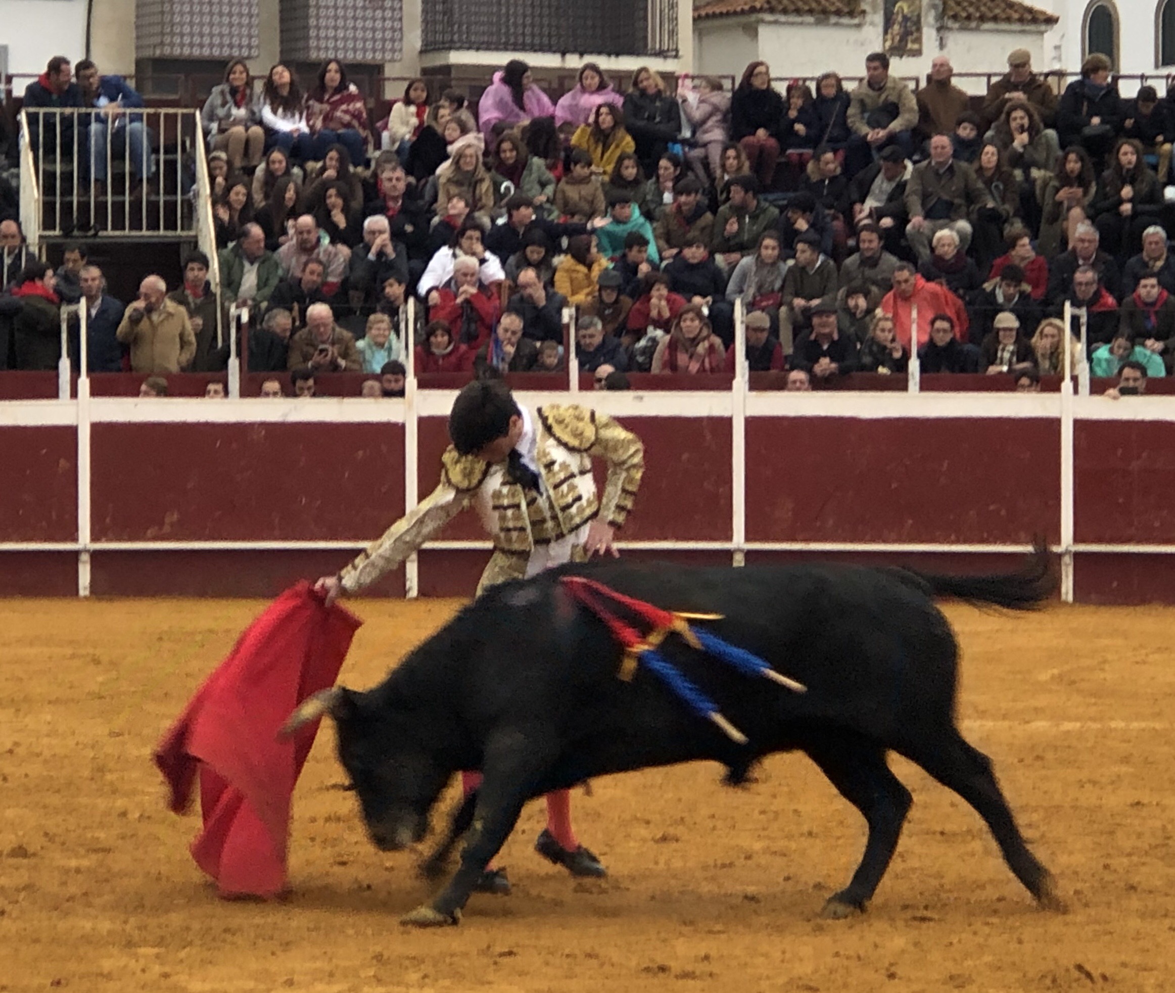 Puebla del Río (Sevilla) - Novillada sin picadores - Fiestas a San Sebastián 2019