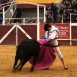 Puebla del Río (Sevilla) - Novillada sin picadores - Fiestas a San Sebastián 2019