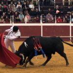 Puebla del Río (Sevilla) - Novillada sin picadores - Fiestas a San Sebastián 2019