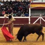 Puebla del Río (Sevilla) - Novillada sin picadores - Fiestas a San Sebastián 2019