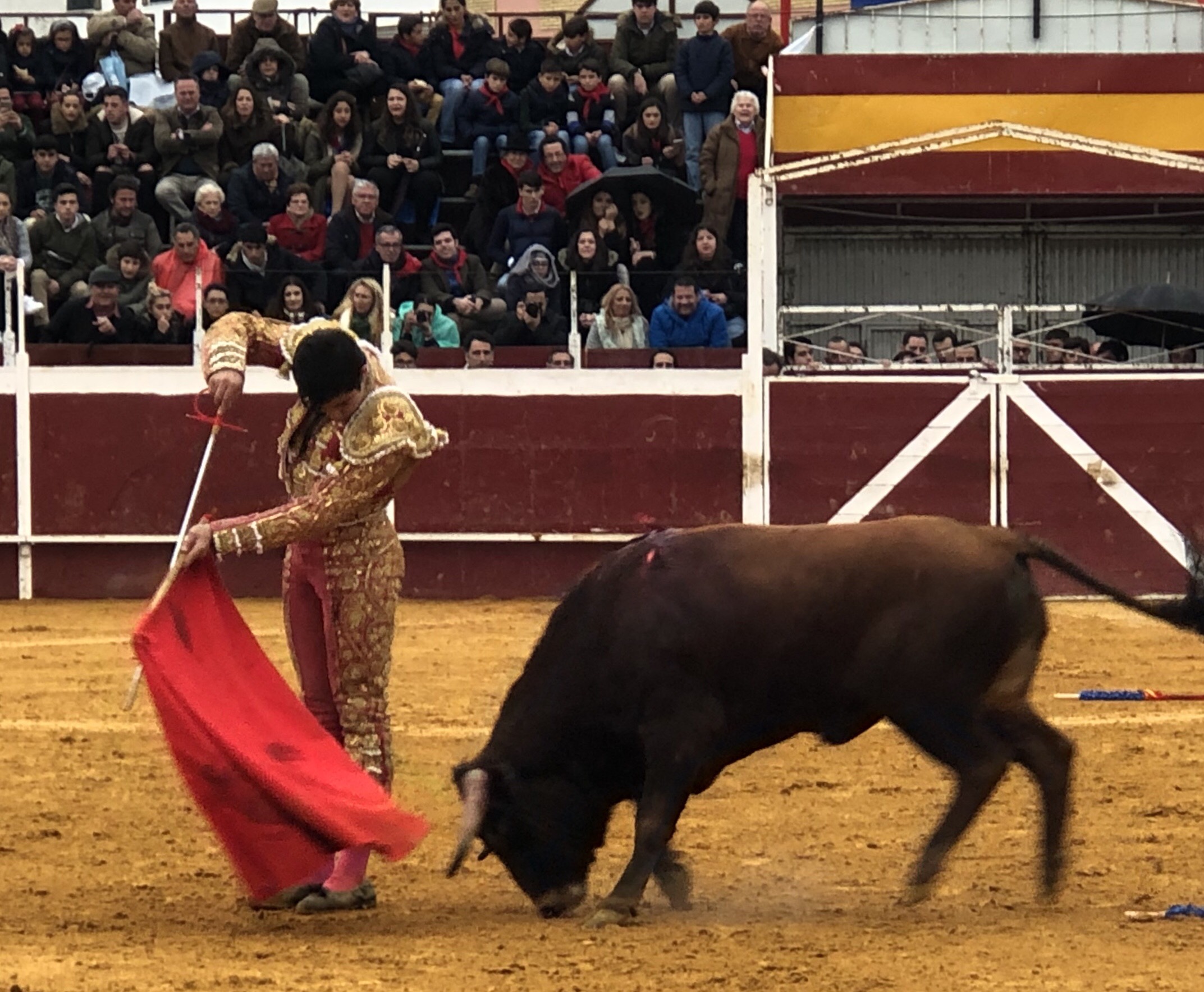 Puebla del Río (Sevilla) - Novillada sin picadores - Fiestas a San Sebastián 2019