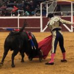 Puebla del Río (Sevilla) - Novillada sin picadores - Fiestas a San Sebastián 2019