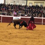 Puebla del Río (Sevilla) - Novillada sin picadores - Fiestas a San Sebastián 2019
