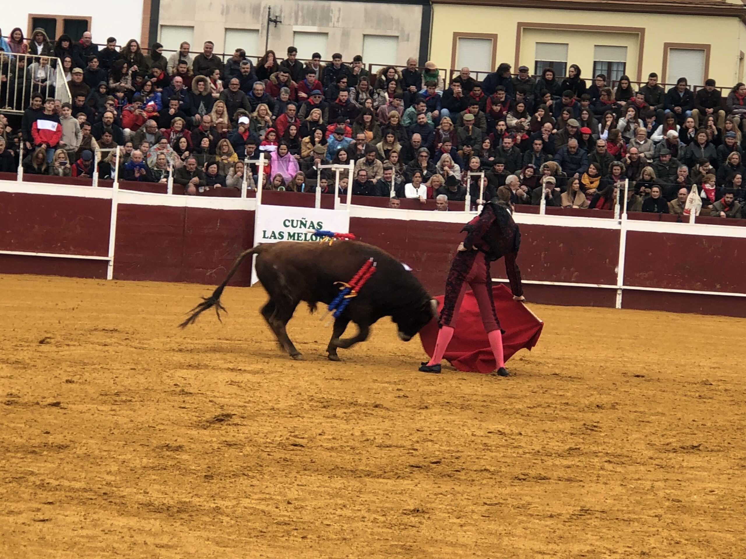Puebla del Río (Sevilla) - Novillada sin picadores - Fiestas a San Sebastián 2019