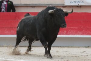 Saint Martin de Crau (Francia), martes 1 de mayo de 2018