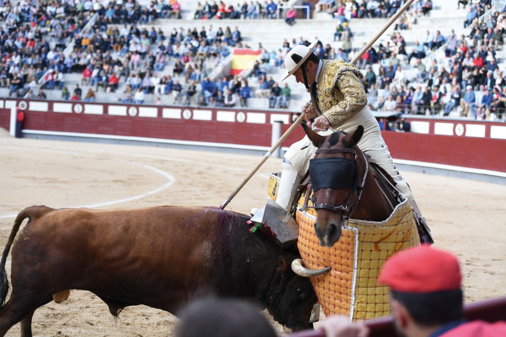 “El poder del toro es el problema de la suerte de varas”