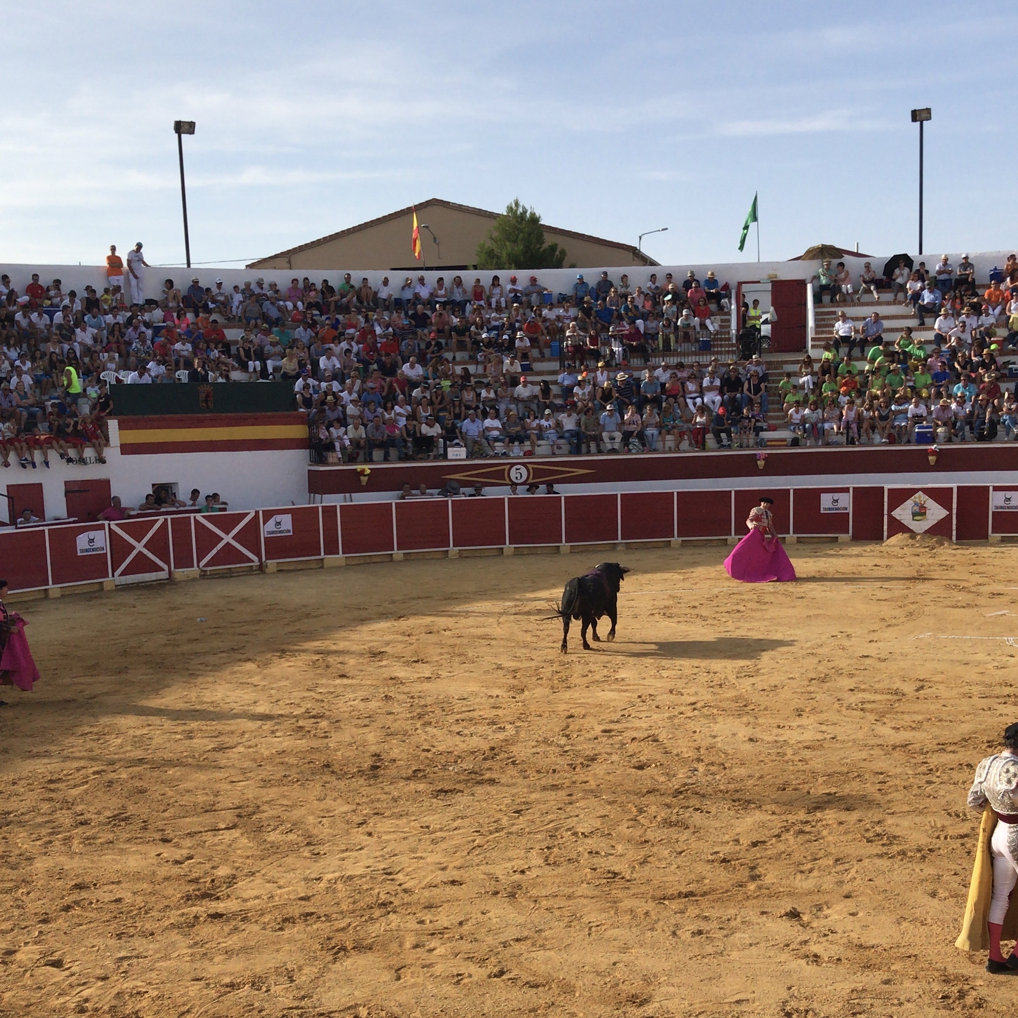 La plaza de toros de Cella, con nueva gestión