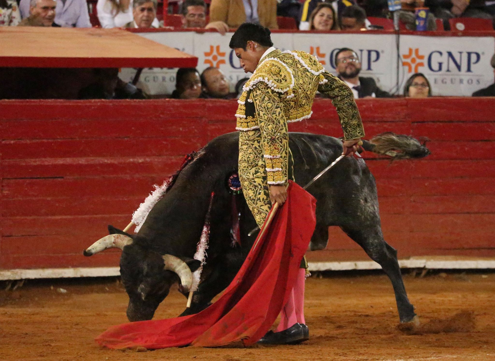 Martes, 5 de febrero de 2019. México D.F.