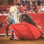 Martes, 5 de febrero de 2019. México D.F.