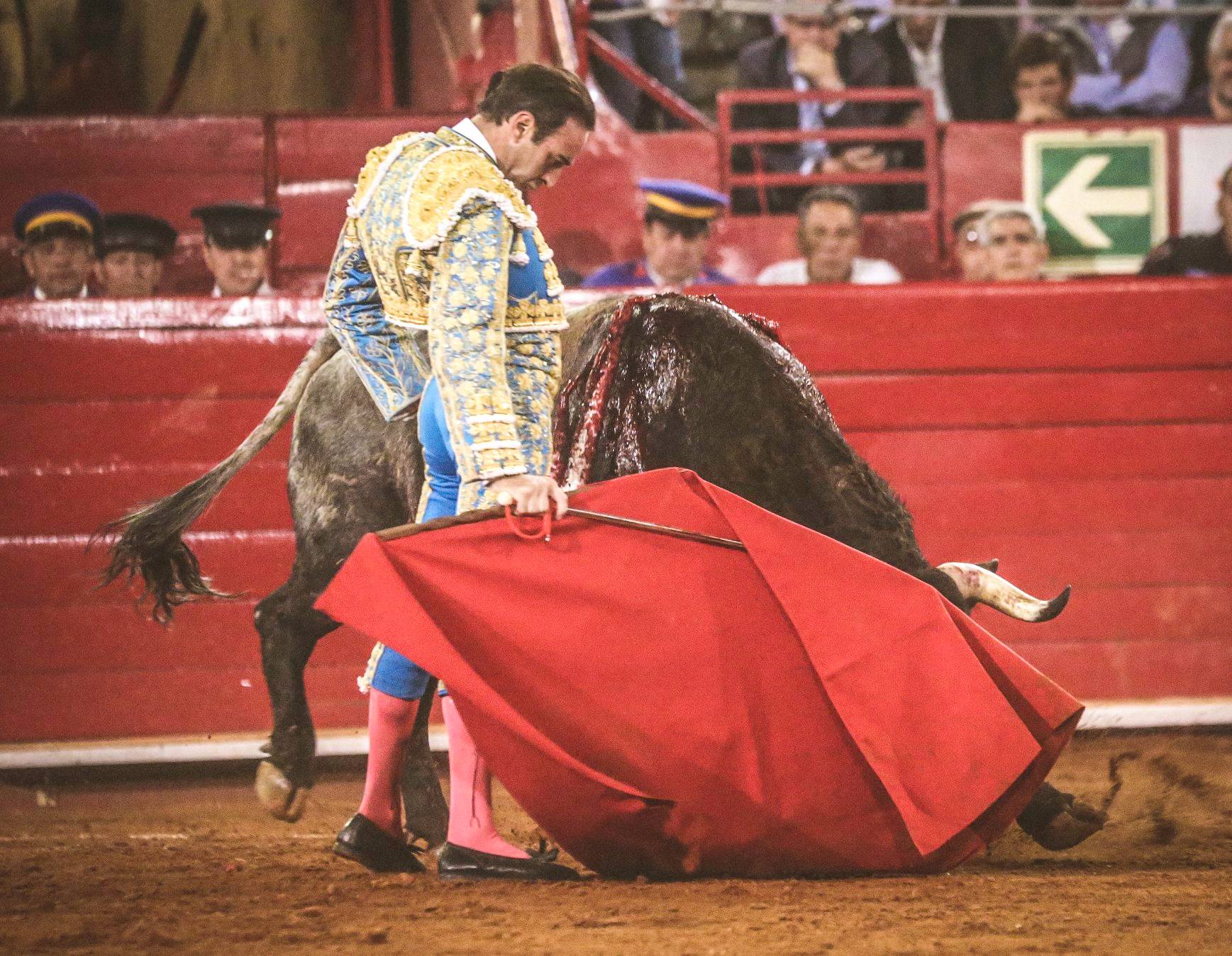 Martes, 5 de febrero de 2019. México D.F.