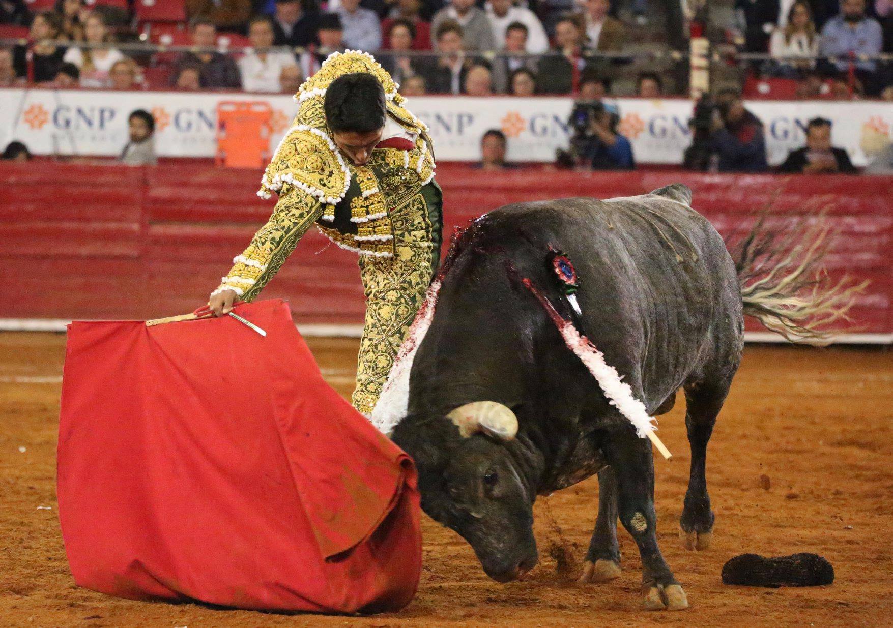 Martes, 5 de febrero de 2019. México D.F.