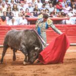 Martes, 5 de febrero de 2019. México D.F.