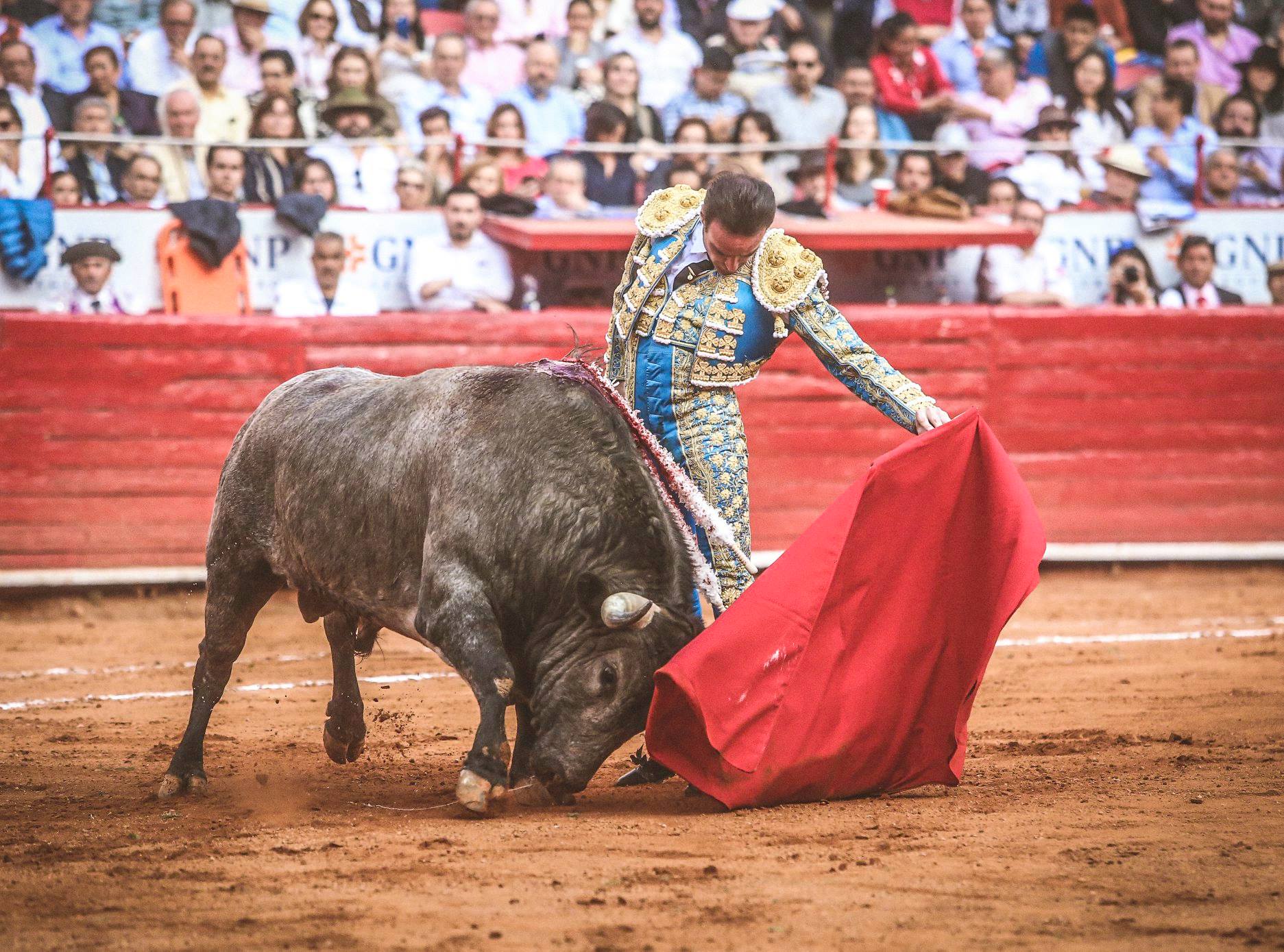 Martes, 5 de febrero de 2019. México D.F.