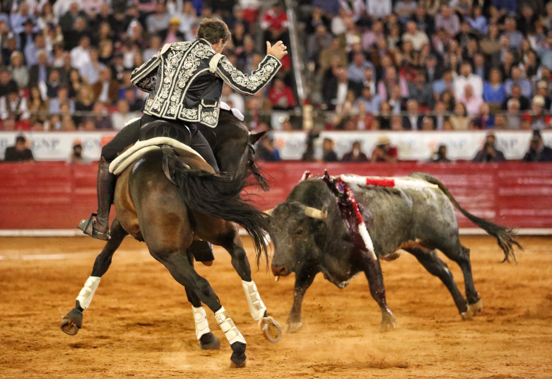 Martes, 5 de febrero de 2019. México D.F.