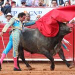 Martes, 5 de febrero de 2019. México D.F.