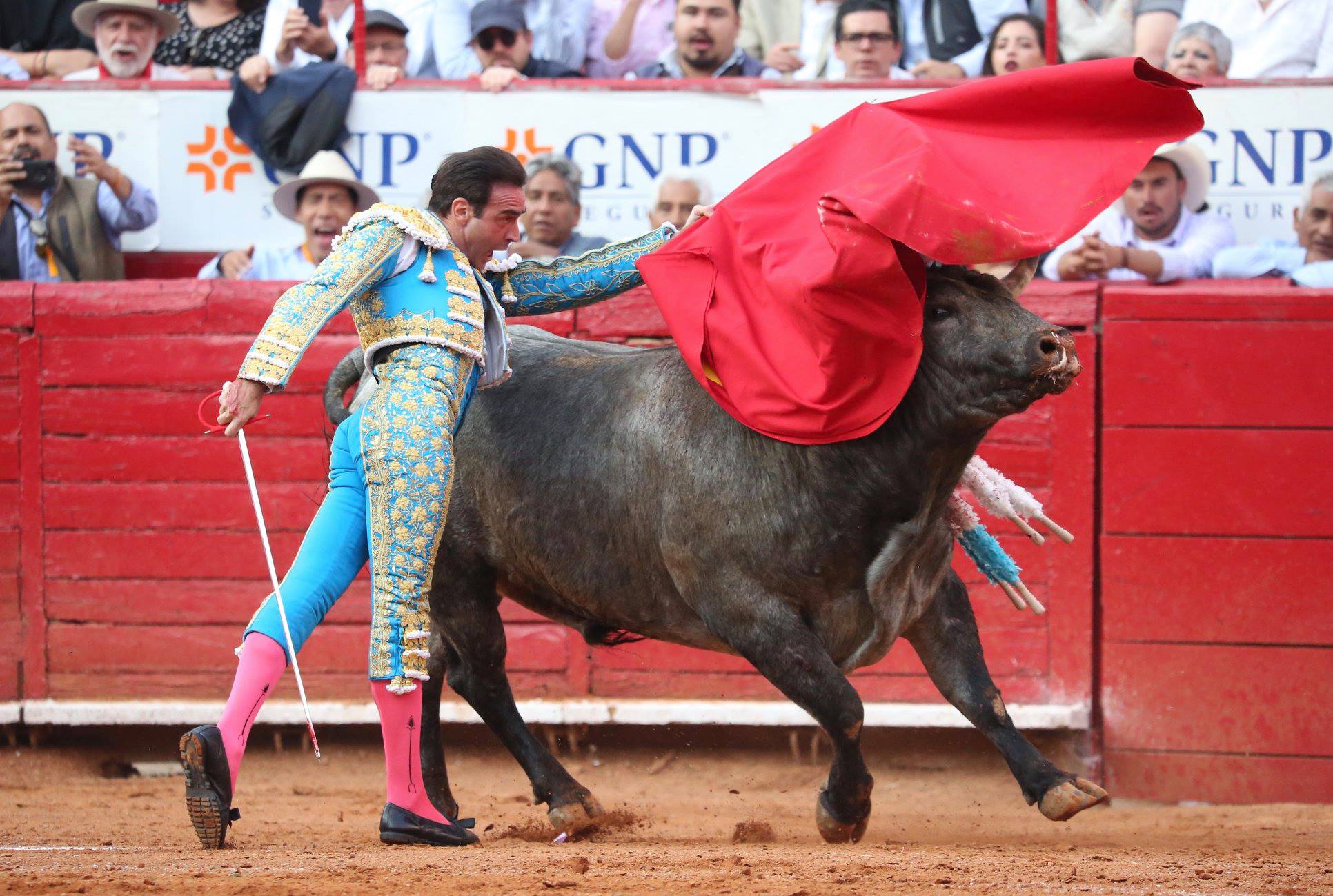 Martes, 5 de febrero de 2019. México D.F.