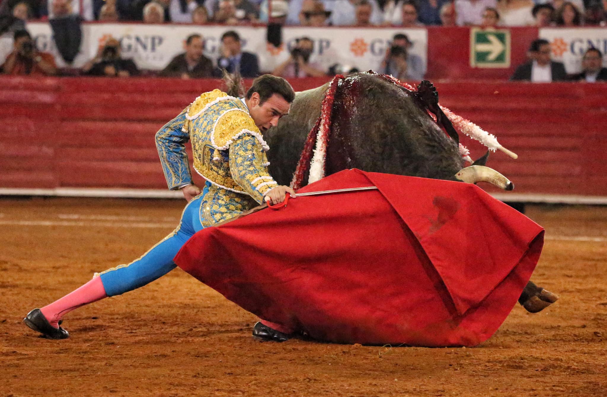 Martes, 5 de febrero de 2019. México D.F.