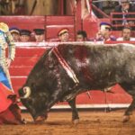 Martes, 5 de febrero de 2019. México D.F.