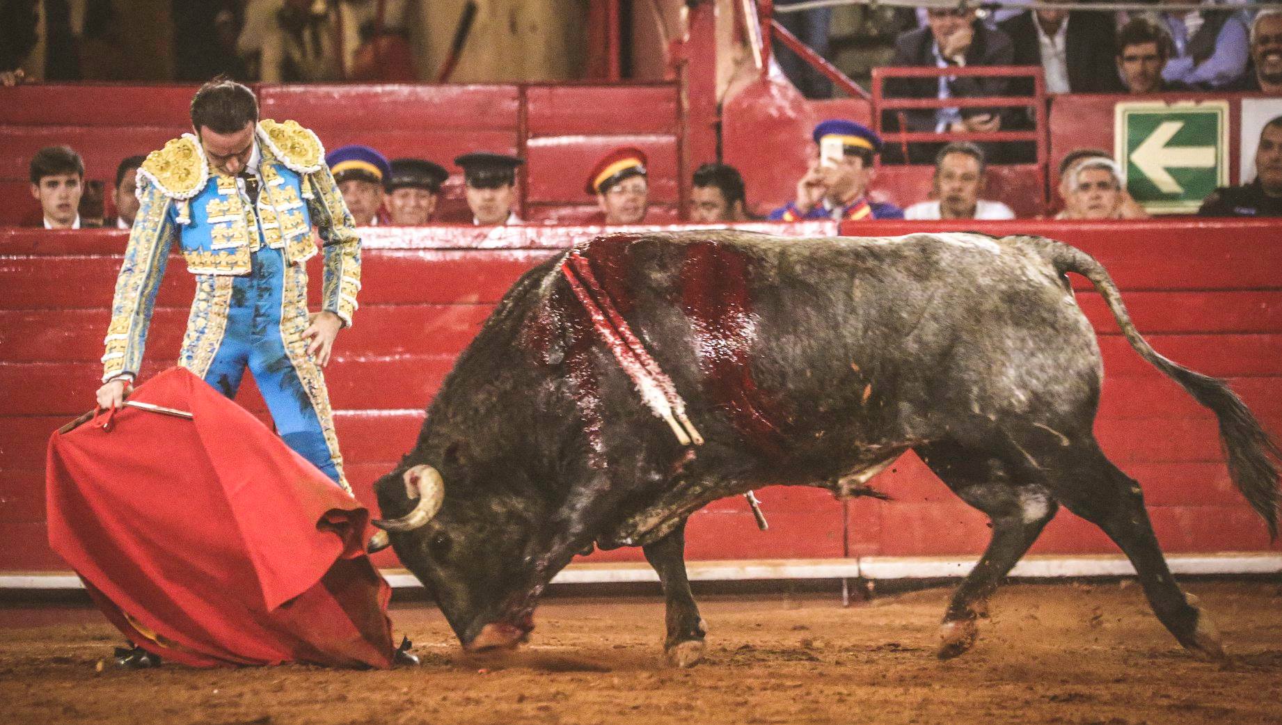 Martes, 5 de febrero de 2019. México D.F.