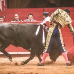 Martes, 5 de febrero de 2019. México D.F.