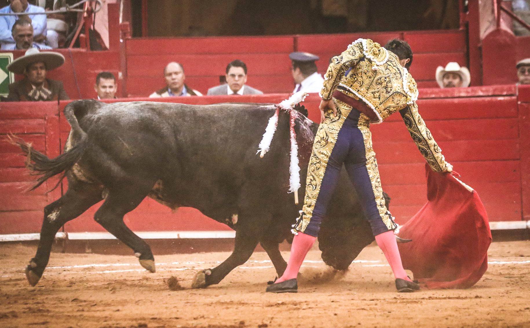 Martes, 5 de febrero de 2019. México D.F.