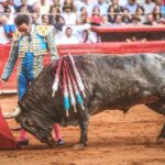 Martes, 5 de febrero de 2019. México D.F.