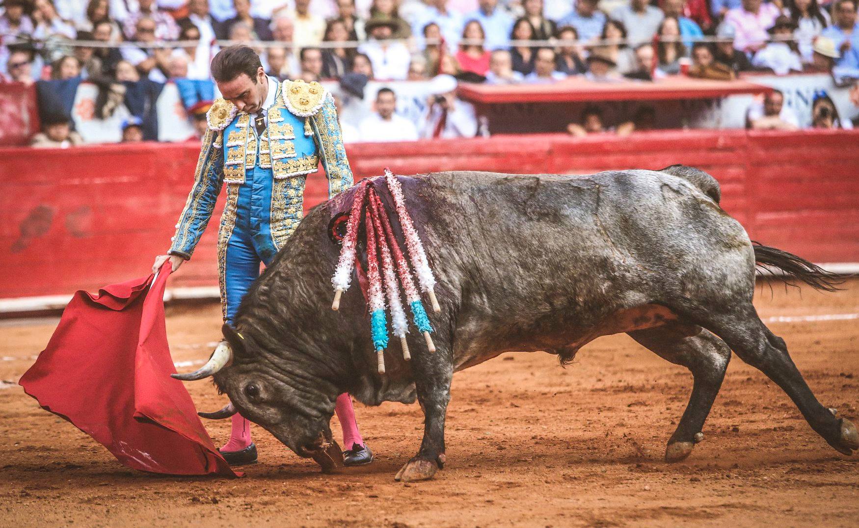 Martes, 5 de febrero de 2019. México D.F.