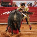 Martes, 5 de febrero de 2019. México D.F.