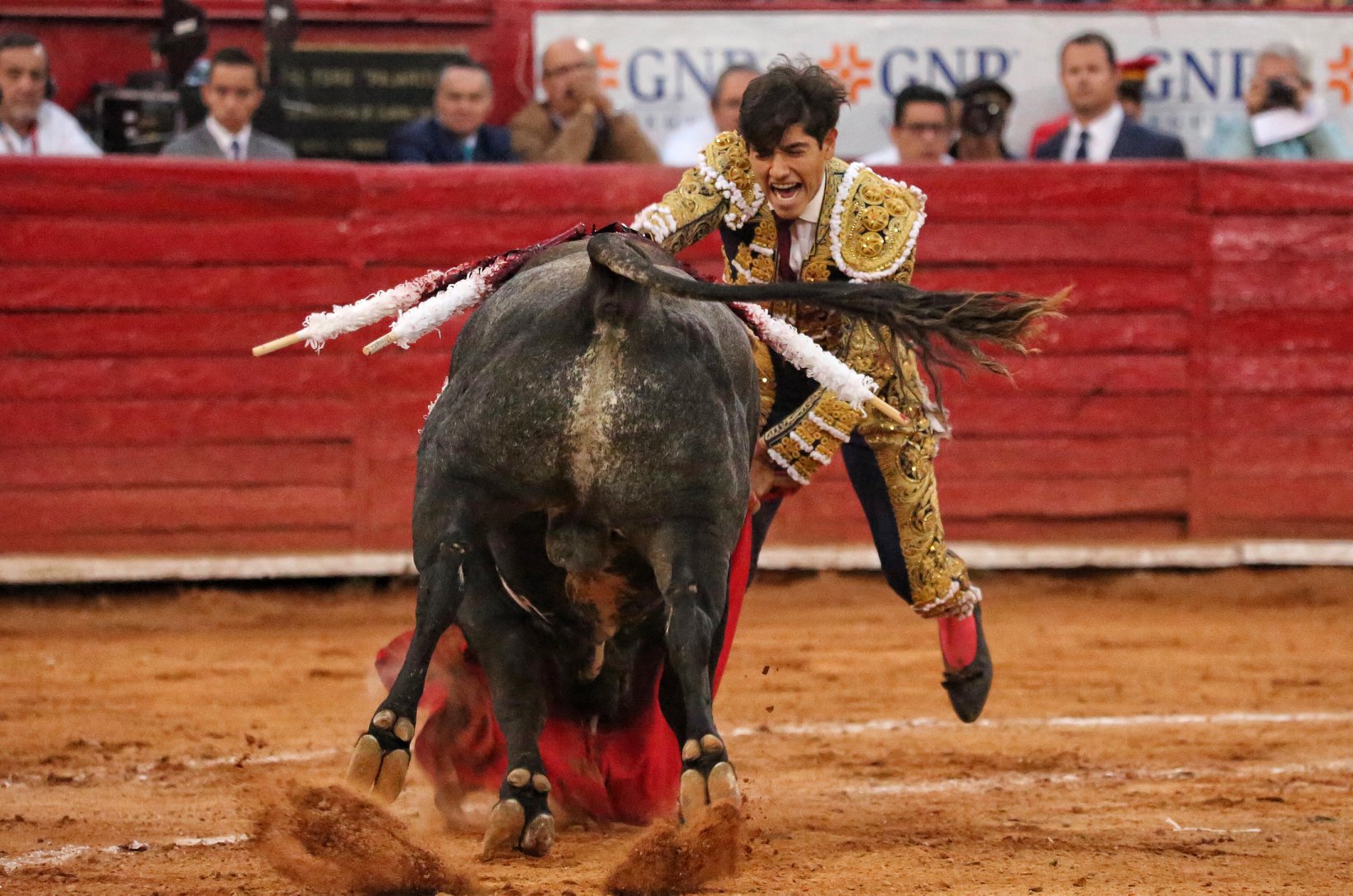 Martes, 5 de febrero de 2019. México D.F.