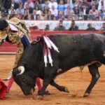 Martes, 5 de febrero de 2019. México D.F.