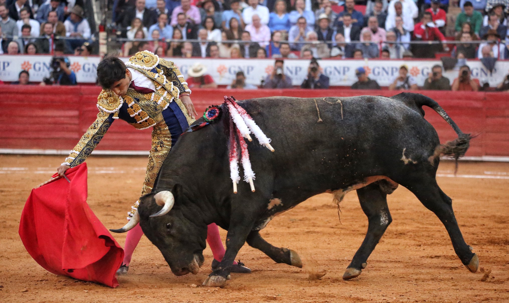 Martes, 5 de febrero de 2019. México D.F.