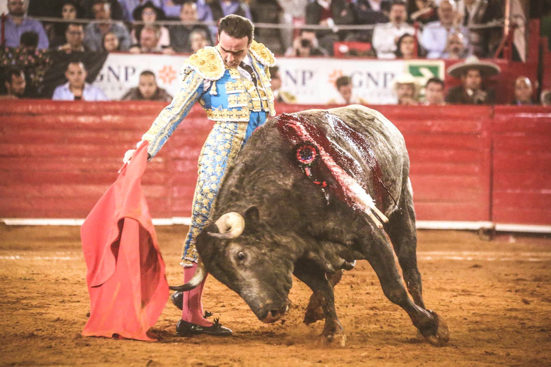 Martes, 5 de febrero de 2019. México D.F.