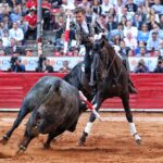 Martes, 5 de febrero de 2019. México D.F.