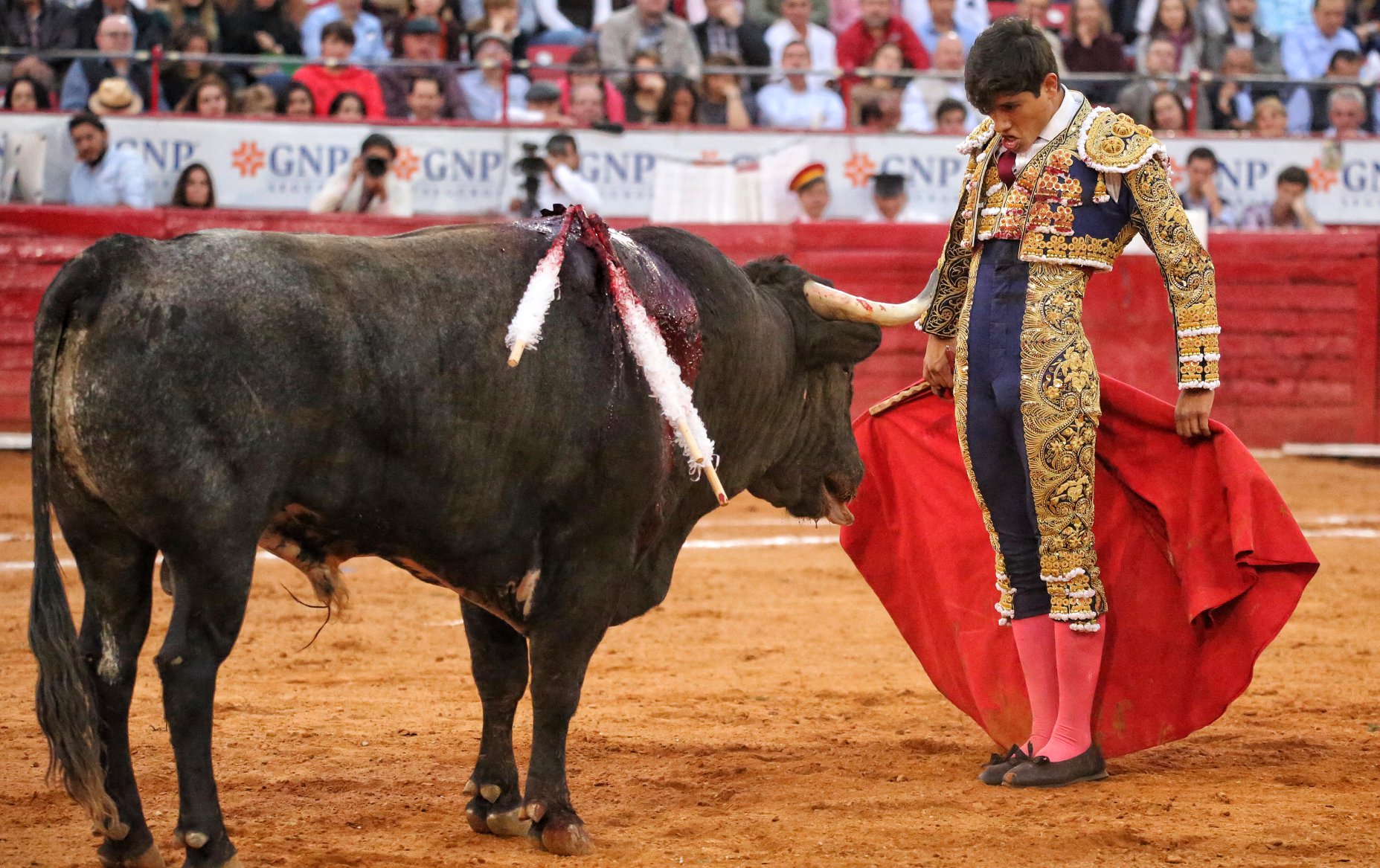 Martes, 5 de febrero de 2019. México D.F.