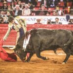 Martes, 5 de febrero de 2019. México D.F.