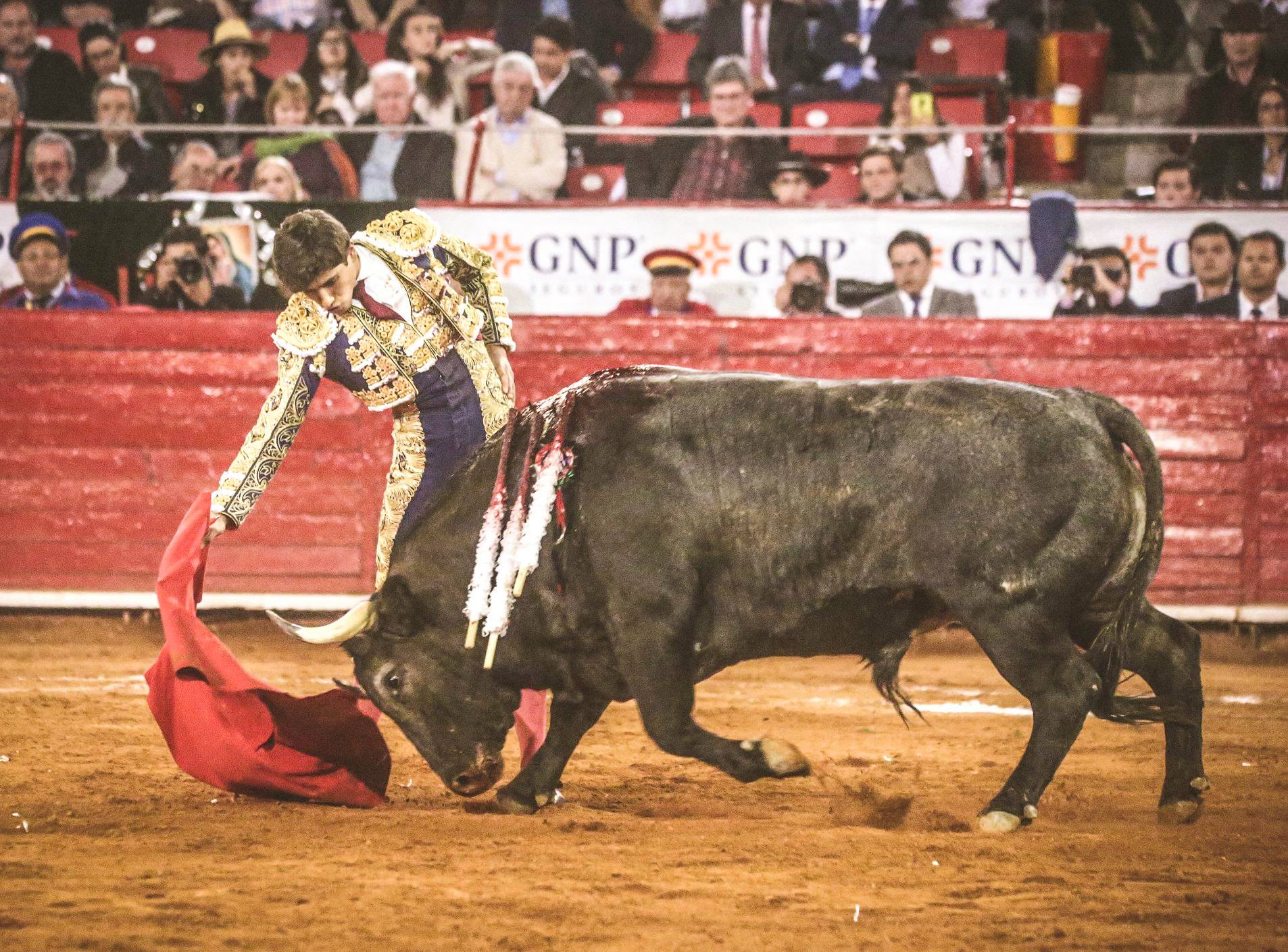 Martes, 5 de febrero de 2019. México D.F.