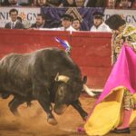 Martes, 5 de febrero de 2019. México D.F.