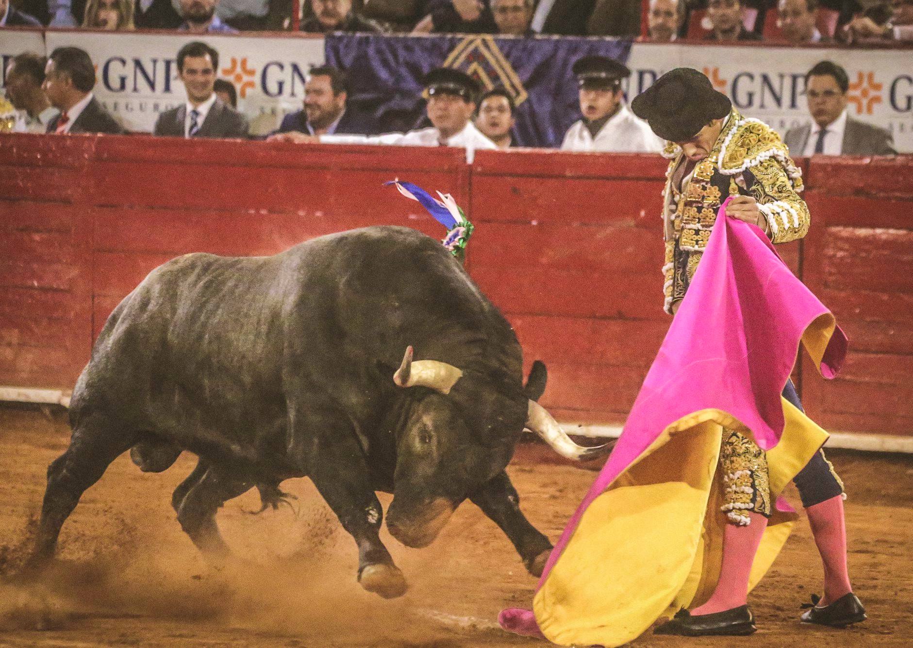 Martes, 5 de febrero de 2019. México D.F.