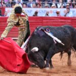 Martes, 5 de febrero de 2019. México D.F.