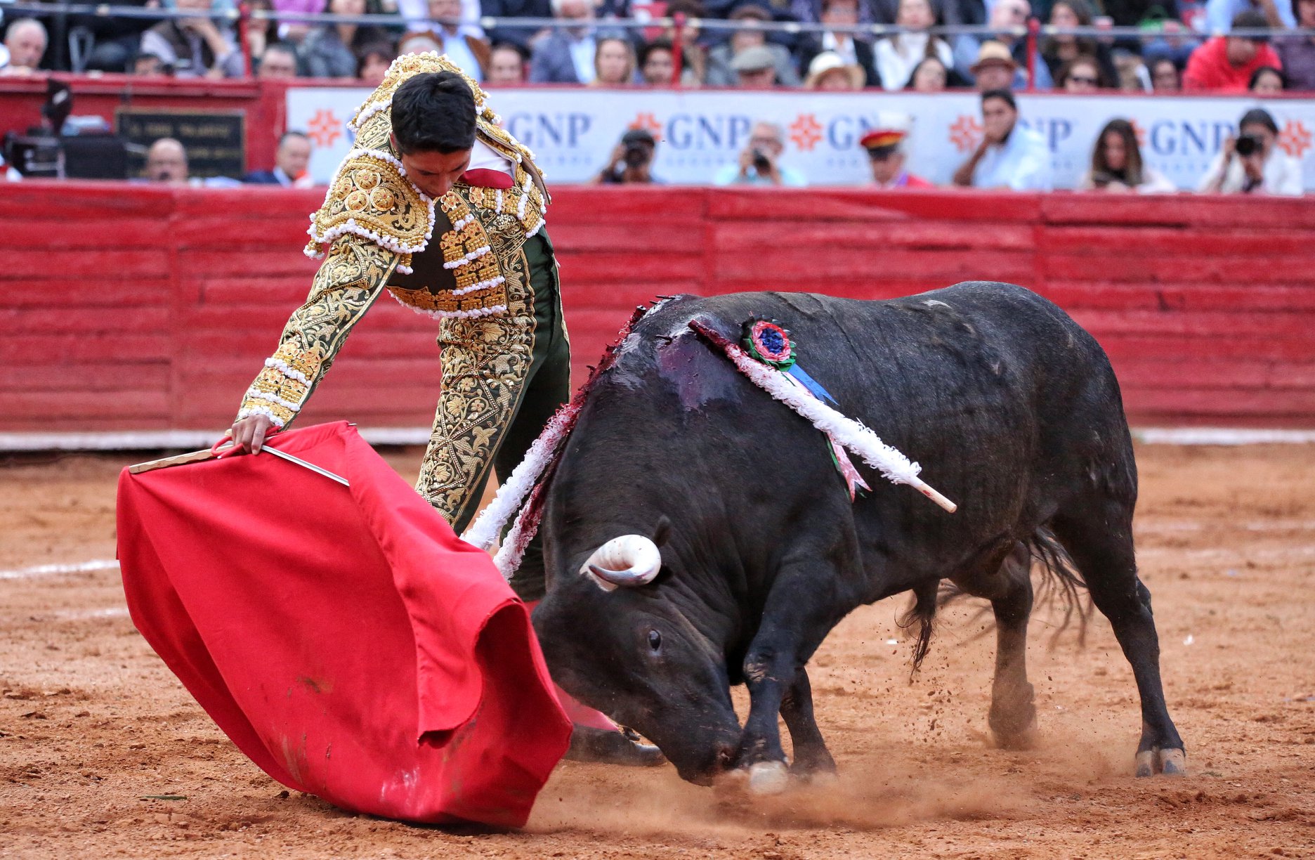 Martes, 5 de febrero de 2019. México D.F.