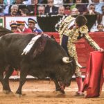 Martes, 5 de febrero de 2019. México D.F.