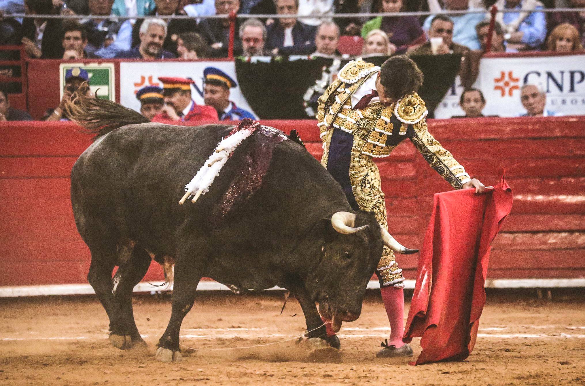 Martes, 5 de febrero de 2019. México D.F.