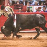 Martes, 5 de febrero de 2019. México D.F.