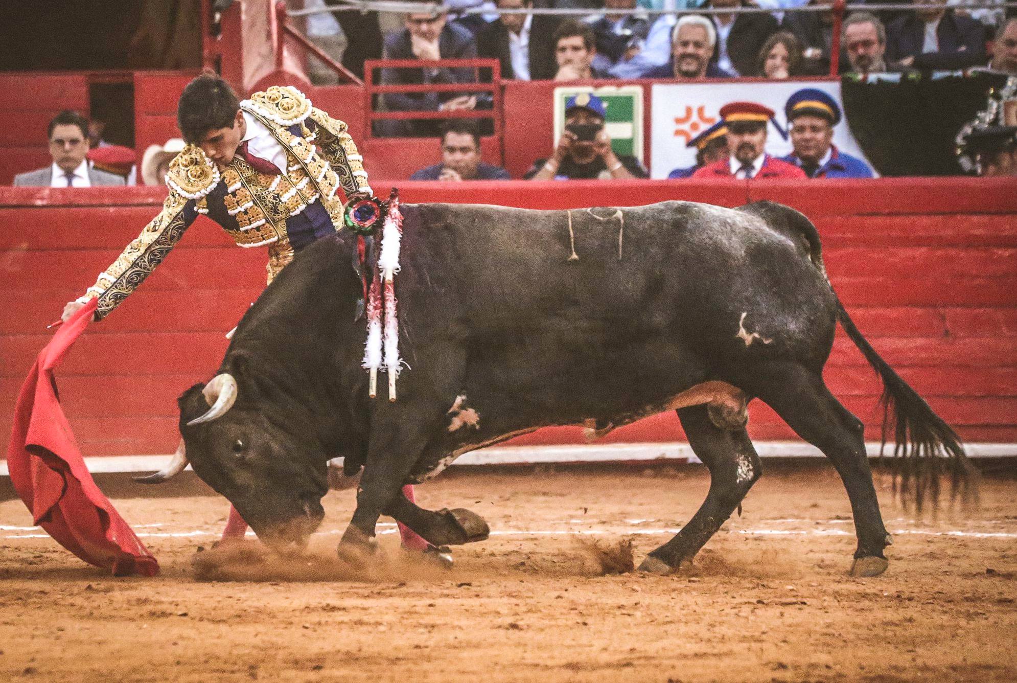 Martes, 5 de febrero de 2019. México D.F.