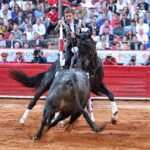 Martes, 5 de febrero de 2019. México D.F.