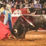 Martes, 5 de febrero de 2019. México D.F.