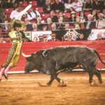 Martes, 5 de febrero de 2019. México D.F.