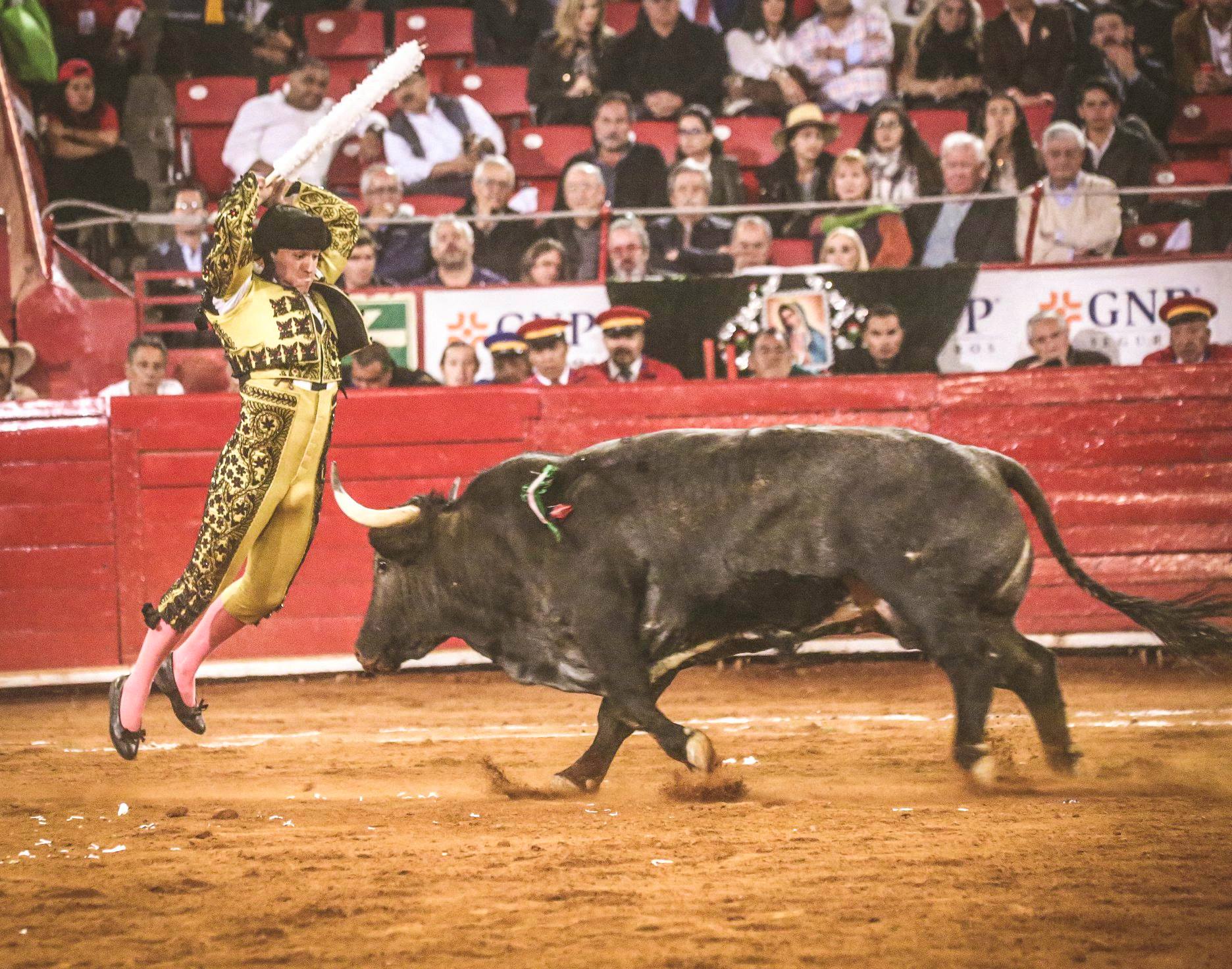 Martes, 5 de febrero de 2019. México D.F.